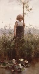 The Water Lilies